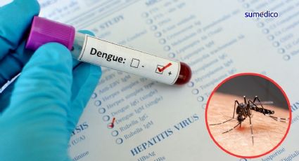 Dengue creció en México más de 500%; vacunación e higiene, claves de mitigación