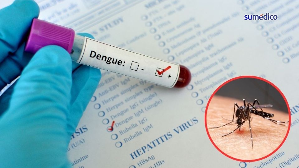 México enfrenta actualmente una crisis por propagación del dengue.