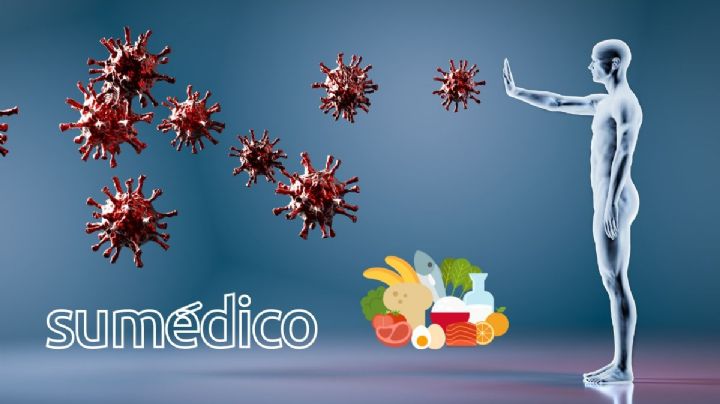 ¿Qué es lo mejor para subir las defensas? Los 5 alimentos que debes consumir