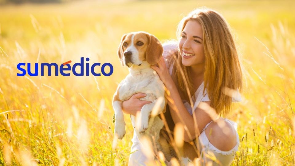 Los beneficios de los perros en la salud mental.