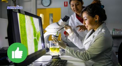 Mujeres de la industria farmacéutica: Educación para cerrar la brecha de género