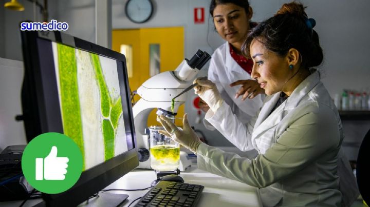 Mujeres de la industria farmacéutica: Educación para cerrar la brecha de género