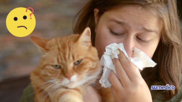 5 consejos efectivos si tu gato te causa alergia