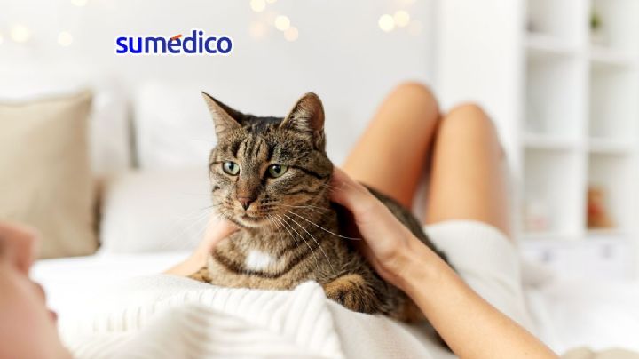 ¿Cuáles son los beneficios a la salud de tener un gato?