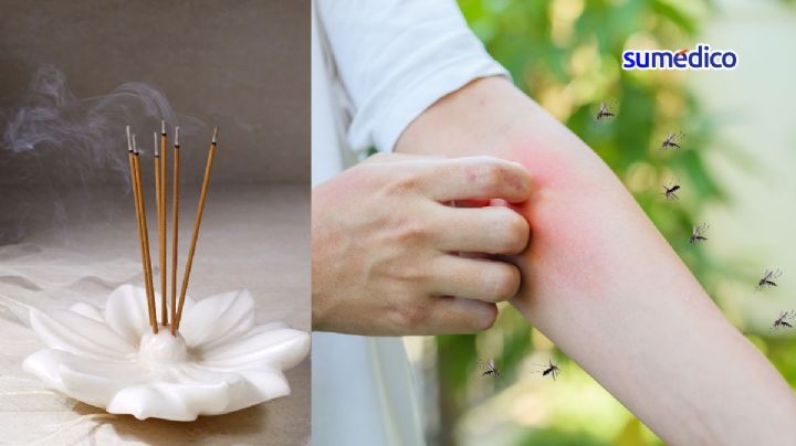 ¿Cómo usar correctamente el incienso contra mosquitos?