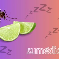 Así te protege el limón de los mosquitos y del mal sueño