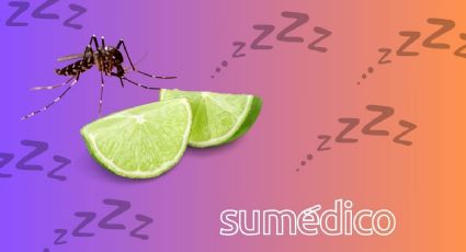 Así te protege el limón de los mosquitos y del mal sueño