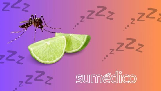 Así te protege el limón de los mosquitos y del mal sueño