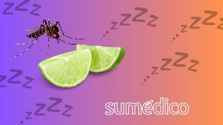 Así te protege el limón de los mosquitos y del mal sueño