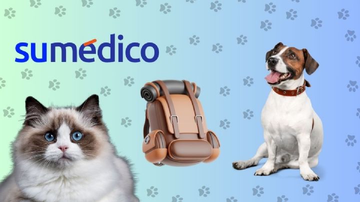 ¿Qué debe llevar una mochila de emergencia para ti y tu mascota?