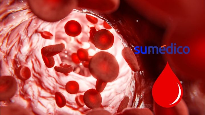 Descubren nuevo grupo sanguíneo, ¿en qué consiste?