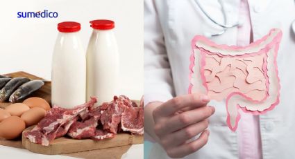 Alimentos con proteínas que evitan el cáncer intestinal