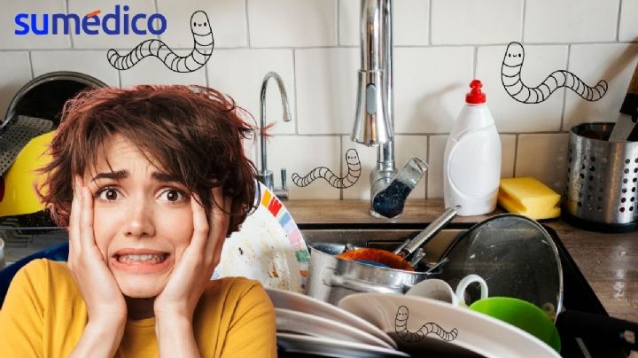 ¿Cómo dejar de tener gusanos blancos? Los trucos que necesita tu cocina