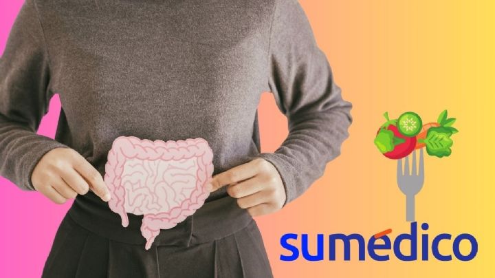 ¿Cuál es el mejor probiótico natural? Conoce estos 5 alimentos que lo contienen