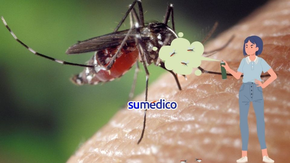 Descubre cómo eliminar a los mosquitos