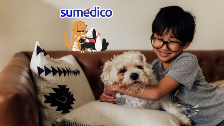 ¿Cuál es la conexión que se forma entre los niños y sus mascotas?