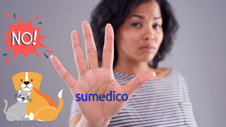 ¿Qué significa preferir NO tener mascotas, según la psicología?