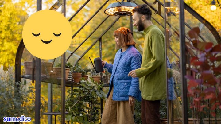 Puttering: ¿Cómo aplicar este hábito a tu vida en pareja?
