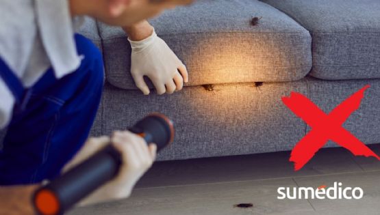 5 trucos para prevenir que las cucarachas invadan tu casa