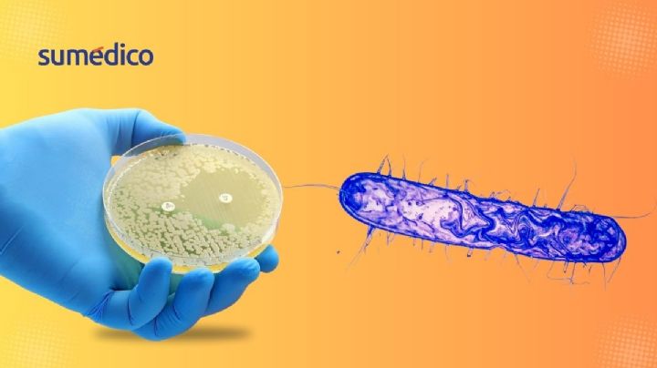 ¡Médicos preocupados! Resistencia bacteriana a antibióticos crece 40%
