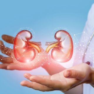 La enfermedad renal crónica no es una sentencia: terapias innovadoras cambian el pronóstico