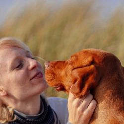 ¿Es más higiénico besar a tu perro o tu pareja barbuda? Esto dice un estudio