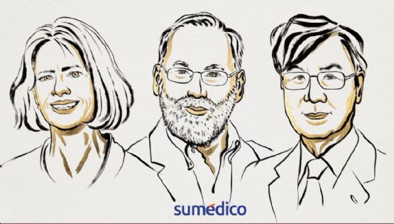 Mary Brunkow, Fred Ramsdell y Shimon Sakaguchi ganan el Premio Nobel de Medicina, ¿cuáles fueron sus aportaciones?