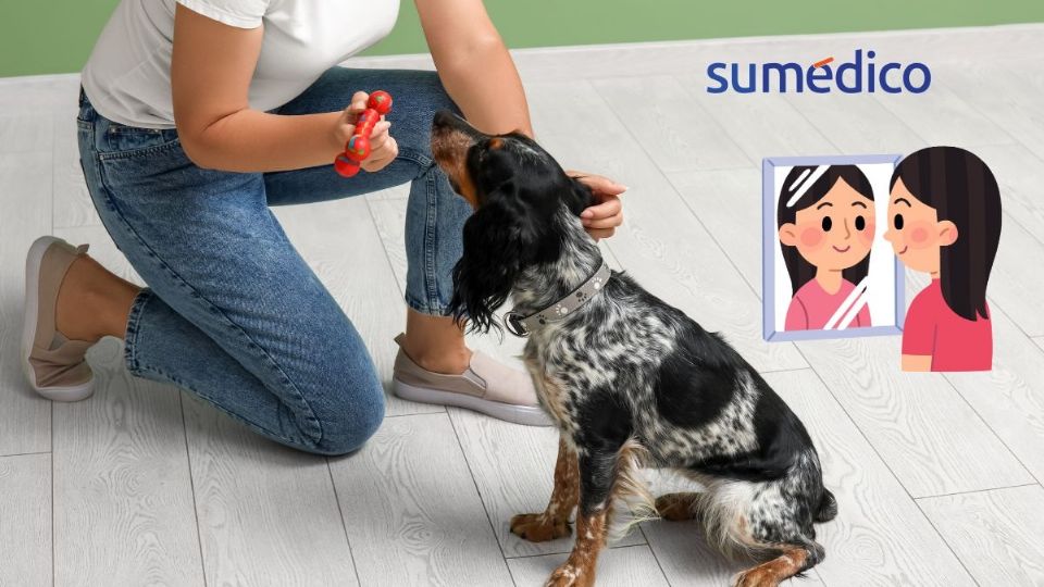 Entrenar perritos podría ser la clave para mantenerse joven