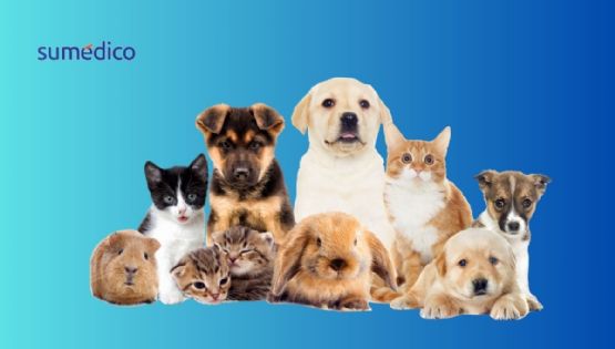 ¿Qué mascotas prefieren los mexicanos? Esto revela el INEGI