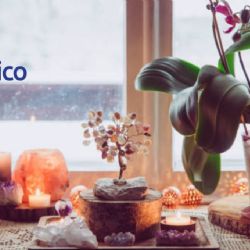 Cosas que tienes que sacar de tu casa porque atraen pobreza