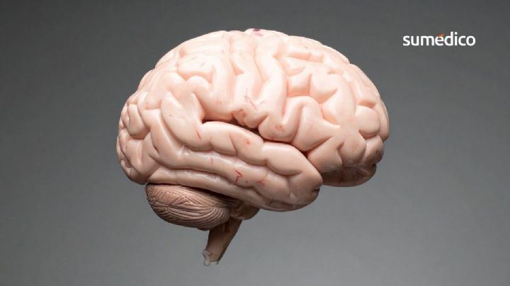 4 momentos clave de tu vida en que tu cerebro cambia