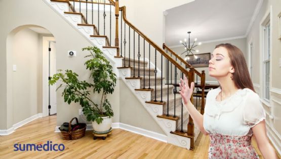 ¿Cómo hacer que tu casa huela siempre bien cómo si estuvieras en un hotel de lujo?