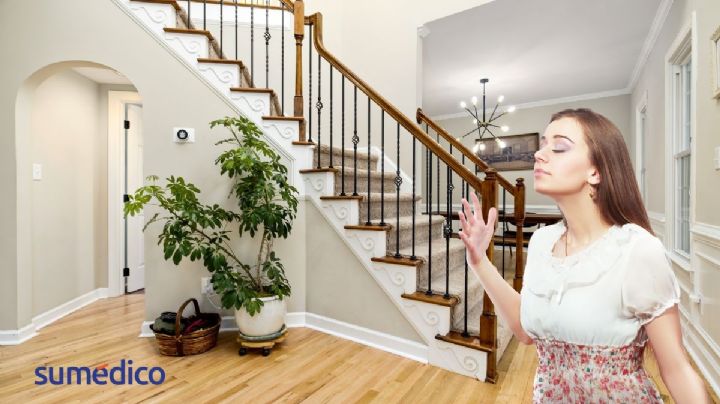 ¿Cómo hacer que tu casa huela siempre bien cómo si estuvieras en un hotel de lujo?