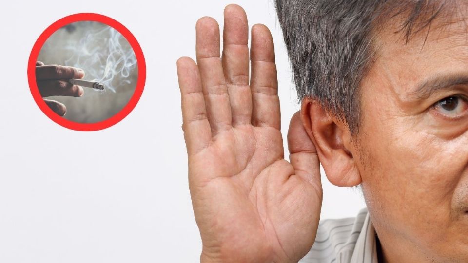 La exposición prolongada a sonidos intensos, combinada con los efectos nocivos del tabaco, puede potenciar significativamente el daño auditivo.