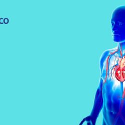 10 consejos de la Fundación Española del Corazón para mantener un corazón sano