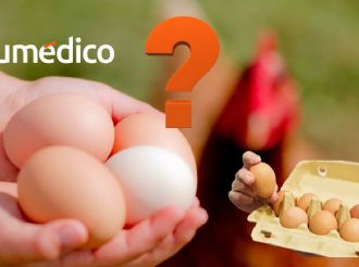 ¿Huevos camperos o de super, cuáles son mejores? Esto dice la ciencia