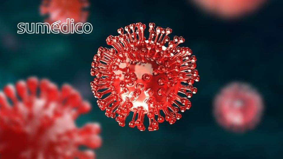 Se ha confirmado que la influenza H3N2 ha llegado a México