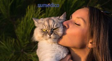 ¿Cuáles son los beneficios para tu salud de tener un gato como mascota?