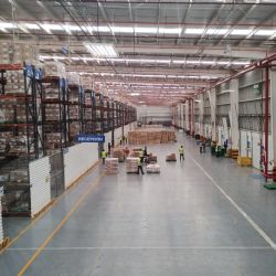 Birmex, la historia sin fin: la compra de insumos que nunca funciona