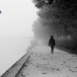 Caminar por más tiempo: el hábito simple que transforma tu salud