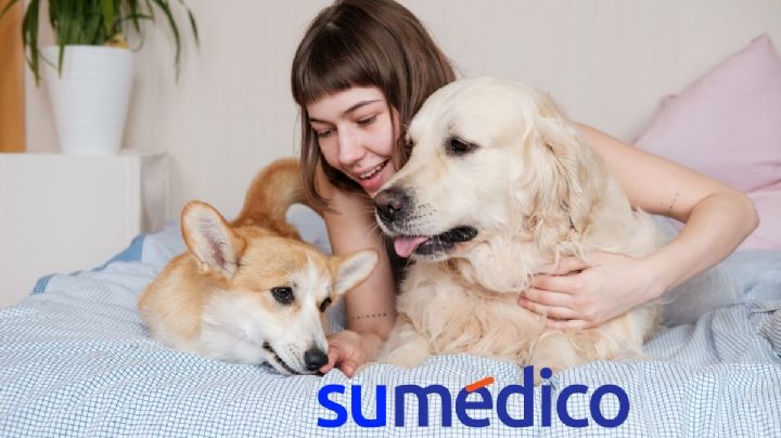 ¿Qué significa hablar con tus mascotas, según la psicología?