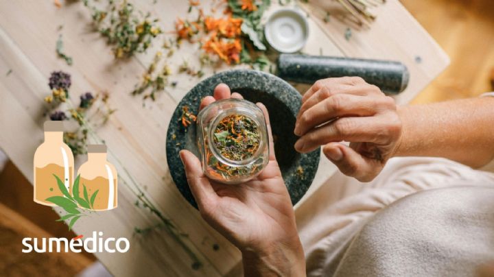 ¿Qué es la fitoterapia y por qué es una alternativa para sanar?