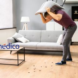 5 razones por las que hay cucarachas en tu casa