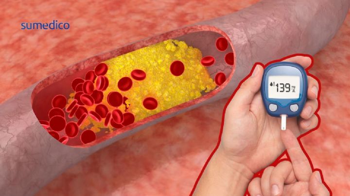 La semilla que en 3 meses reduce niveles de glucosa, colesterol y triglicéridos