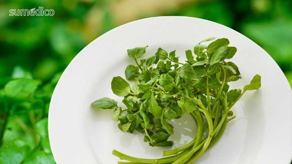 Uno de los alimentos más saludables (y ricos) del mundo