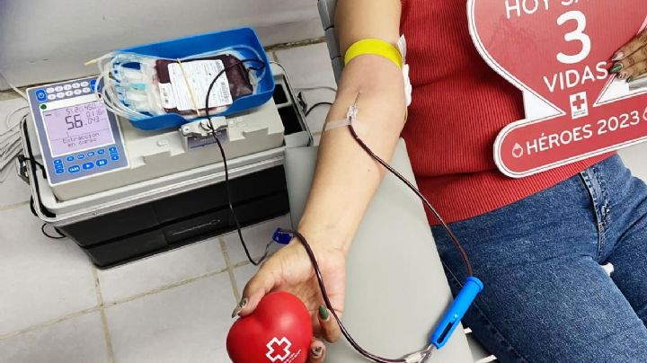 'Con solo una donación de sangre se pueden salvar hasta 3 vidas'
