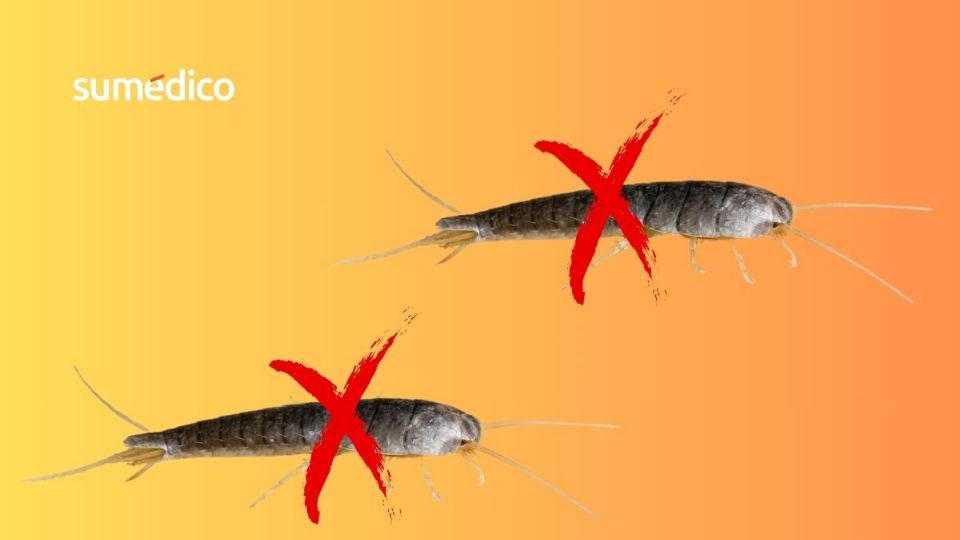 ¿Cómo eliminar este peculiar insecto?