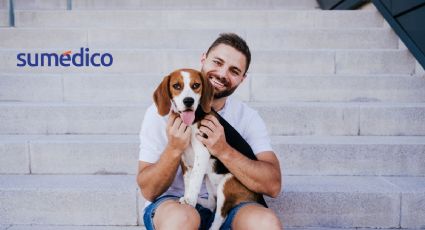 Los beneficios que tiene acariciar a un perro, según la psicología