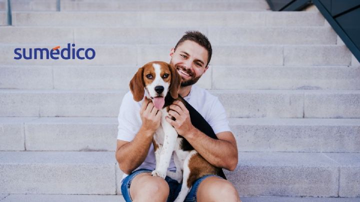 Los beneficios que tiene acariciar a un perro, según la psicología