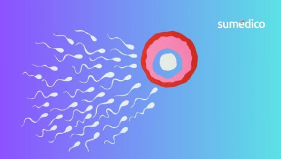 Tratamientos de fertilidad para parejas LGBTQ+ en México